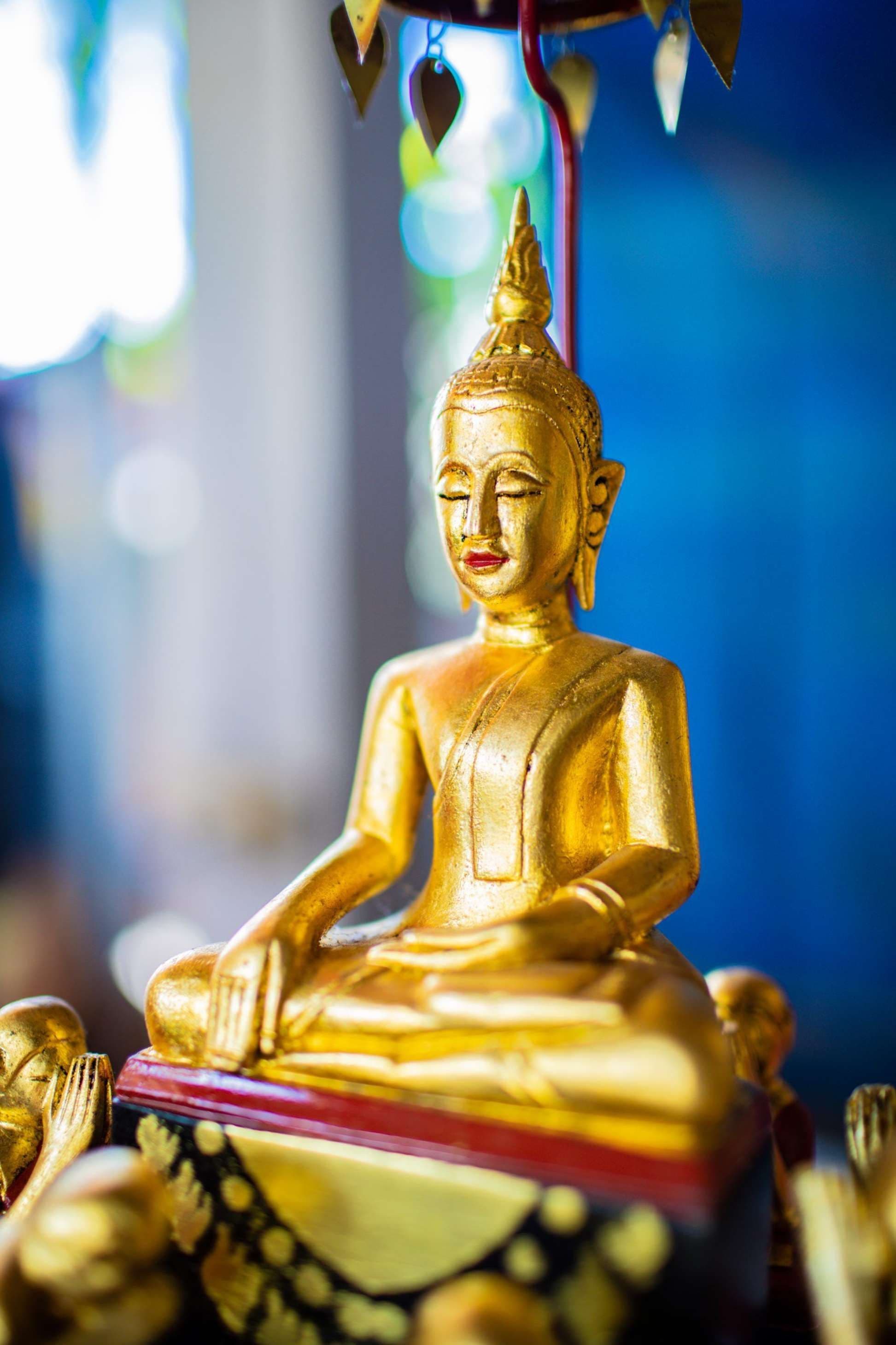 พระครูผาสุกนันทวัฒน์