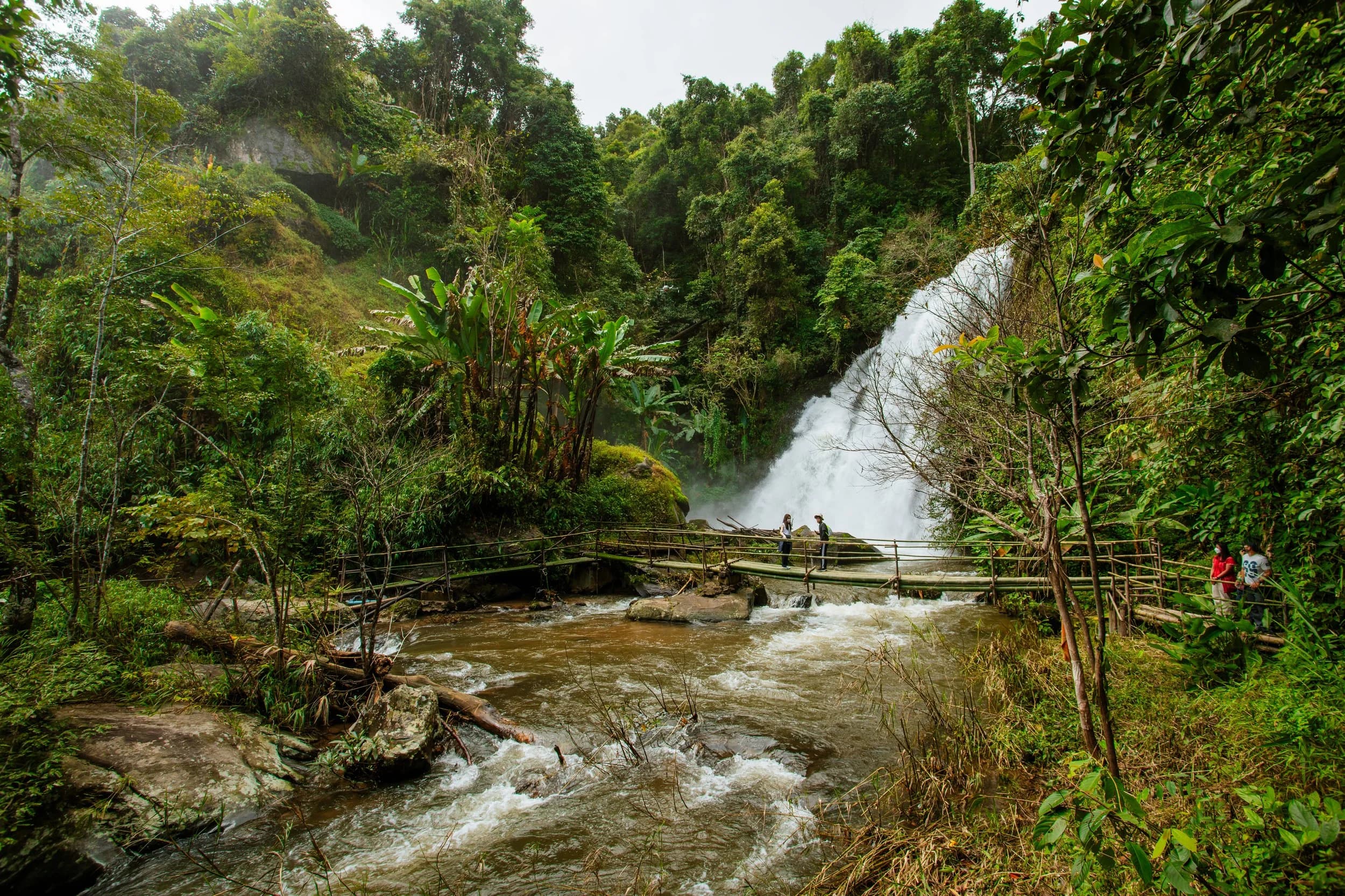 Chiang Mai: Discover Hidden Forest Trails in a Karen Tribe Community | Private Tour